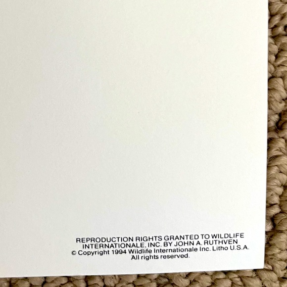 John A Ruthven Signed & Numbered Ruffed Grouse Print 1994 Wildlife Art 312/1000 - Picture 7 of 8